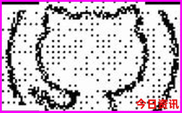 现在自驾游适合去什么地方